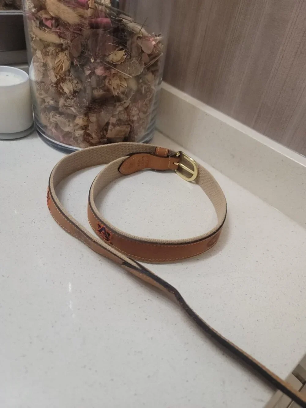 Zep Pro Leather Canvas Belt Embroidery Auburn Tigers Brown Men's 40 USA